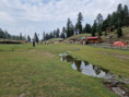 /album/fotogalerie-pakistan/20250622-163256-jpg/